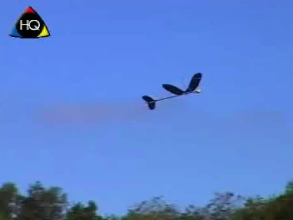 Udeleg|Drager< Airglider 40 cm
