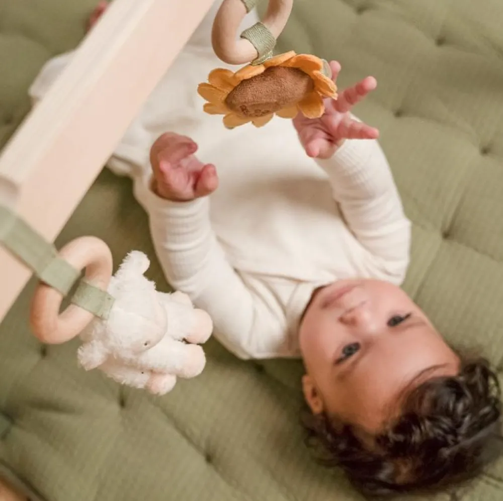 Babylegetøj< Aktivitetsstativ - Little Farm