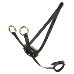 Kæpheste & Tilbehør<Cheval Roi tilbehør - Martingal, Sort/guld