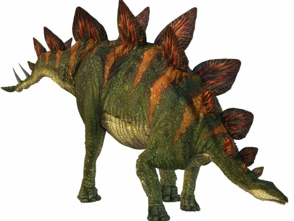 Legetøj Til Ferien|Dinosaur Legetøj<Brainstorm Dias med dinosaur