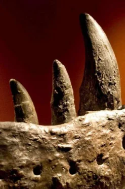 Legetøj Til Ferien|Dinosaur Legetøj<Brainstorm Dias med dinosaur