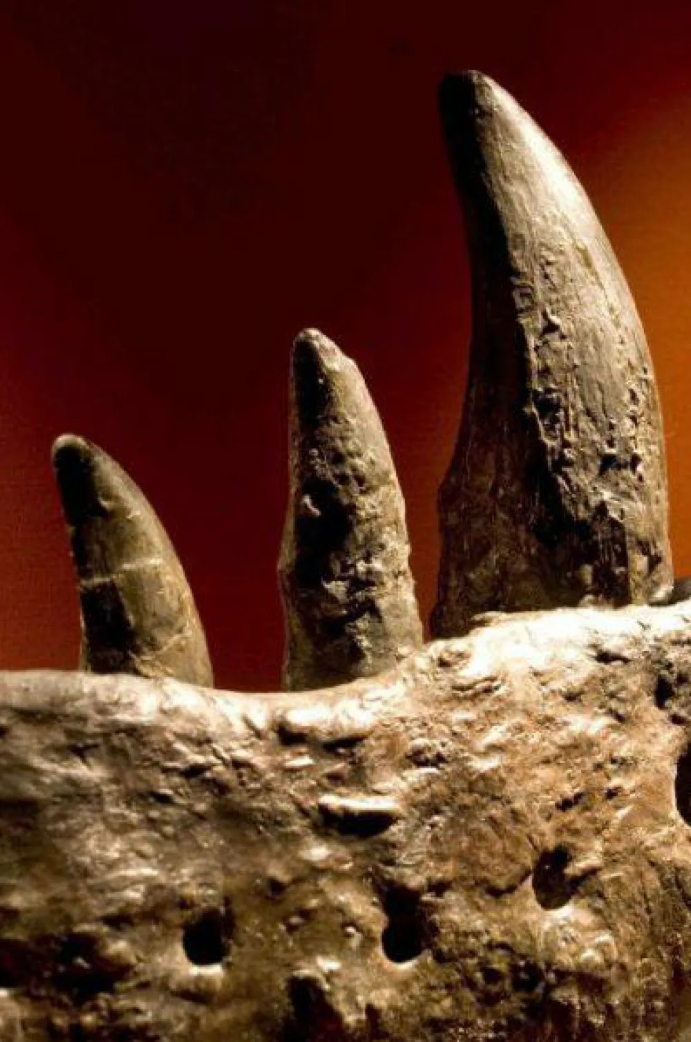 Legetøj Til Ferien|Dinosaur Legetøj<Brainstorm Dias med dinosaur