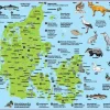 Skolesjov< Dækkeserviet - Danmark