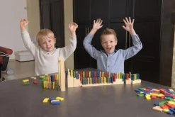 Sorterings- & Stablelegetøj<Egmont Toys Domino - Rally, 200 dele