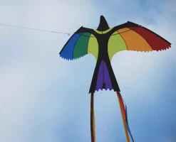 Drager< Drage - Fugl (130 x 75 cm.)