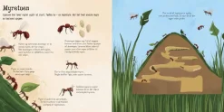 Sprog & Leg|Naturvidenskab<Forlaget Bolden Flapbog - Jeg ser på... Små insekter