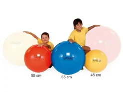 Sportslegetøj & Gøgl|Sansemotorisk Legetøj< Gymnastikbold 55cm rød
