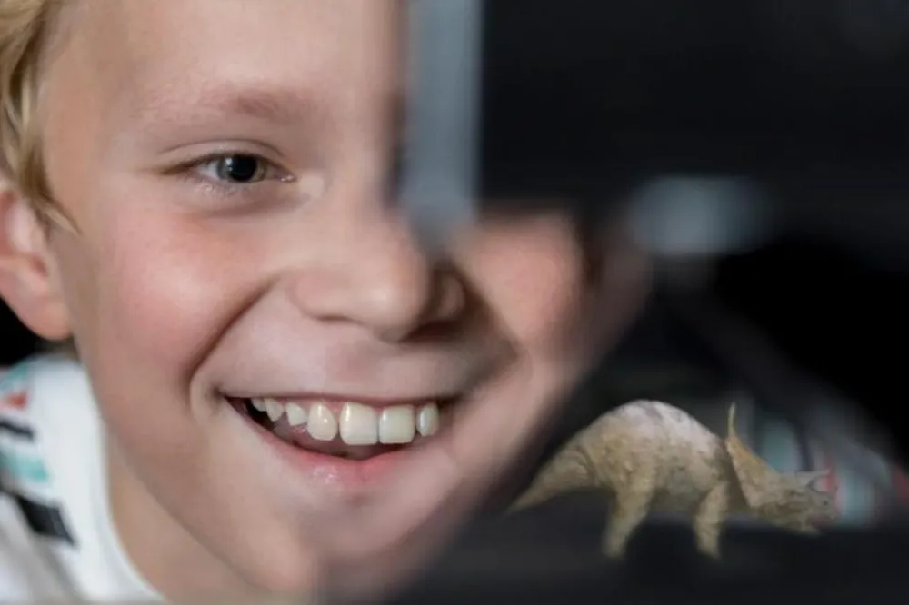 Stem Læringslegetøj<4M Hologramprojektor