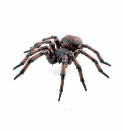 Naturvidenskab|Insekt & Naturleg<Papo Husedderkop - L: 6,3 cm