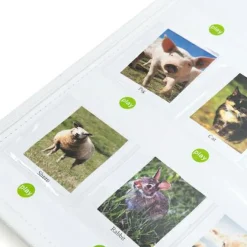 Vis Alle Varer (Særlige Behov)|Logik & Talforståelse< Interaktiv tavle - optag og afspil