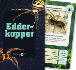 Naturvidenskab|Legetøj Til Ferien< Kortspil - Edderkopper