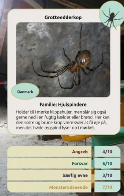 Naturvidenskab|Legetøj Til Ferien< Kortspil - Edderkopper