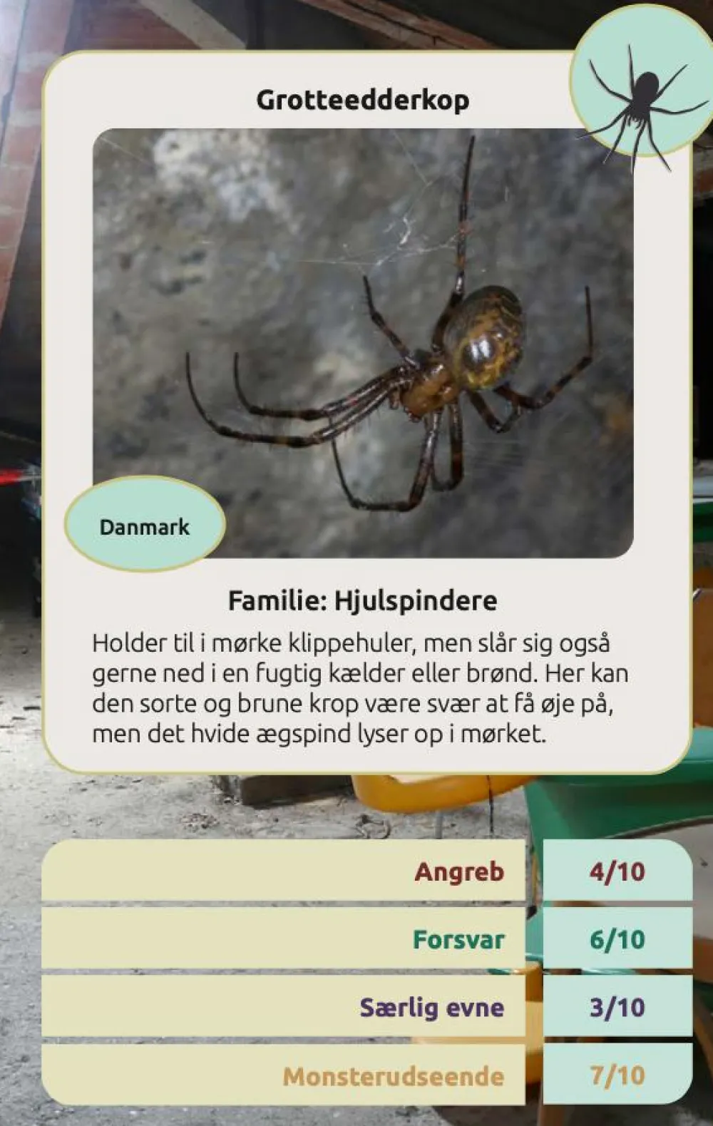 Naturvidenskab|Legetøj Til Ferien< Kortspil - Edderkopper