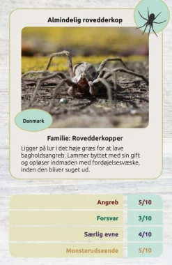Naturvidenskab|Legetøj Til Ferien< Kortspil - Edderkopper