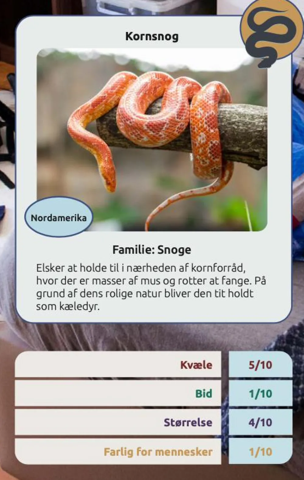 Naturvidenskab|Legetøj Til Ferien< Kortspil - Farlige slanger