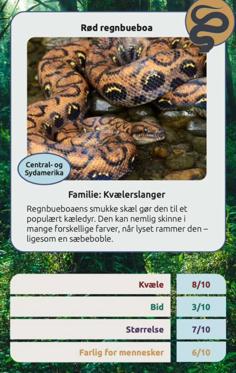 Naturvidenskab|Legetøj Til Ferien< Kortspil - Farlige slanger