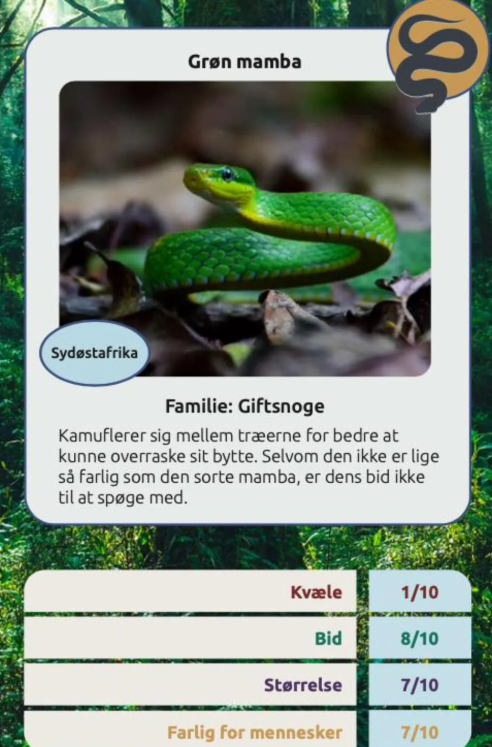 Naturvidenskab|Legetøj Til Ferien< Kortspil - Farlige slanger