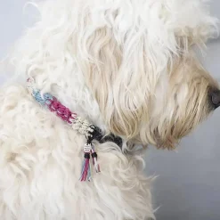 Kreativ Leg<Creativ Company Kreapose - Lav et hæklet hundehalsbånd