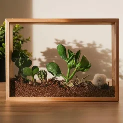 Naturvidenskab|Insekt & Naturleg< Lav din egen vertikale mini-have