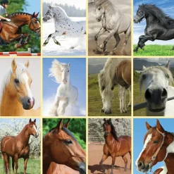 Legetøj Til Ferien<Brainstorm Lommelygte med dias - Hest