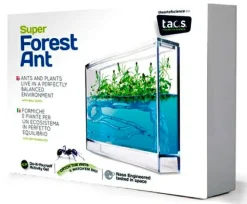 Insekt & Naturleg|Eksperimenter< Myreakvarium med planter