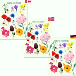 Til Børneværelset|Sprog & Leg<Ciha Plakat 50 x 70 cm - Farverne og blomsterne