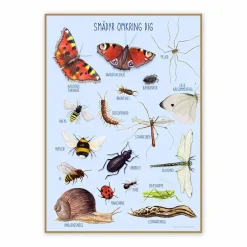 Til Børneværelset|Naturvidenskab<Ciha Plakat 50 x 70 cm - Smådyr omkring dig