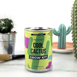 Naturvidenskab|Insekt & Naturleg< Plant selv kit - Kaktus