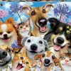 Puslespil<educa Puslespil m. 500 brikker - Selfies, hunde + katte