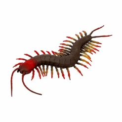 Naturvidenskab|Insekt & Naturleg<Spiegelburg Skolopender - L: 23 cm