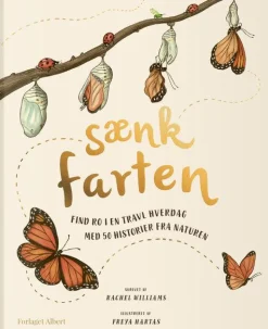 Mindfulness For Børn|Børnebøger< Sænk farten - Med 50 historier fra naturen