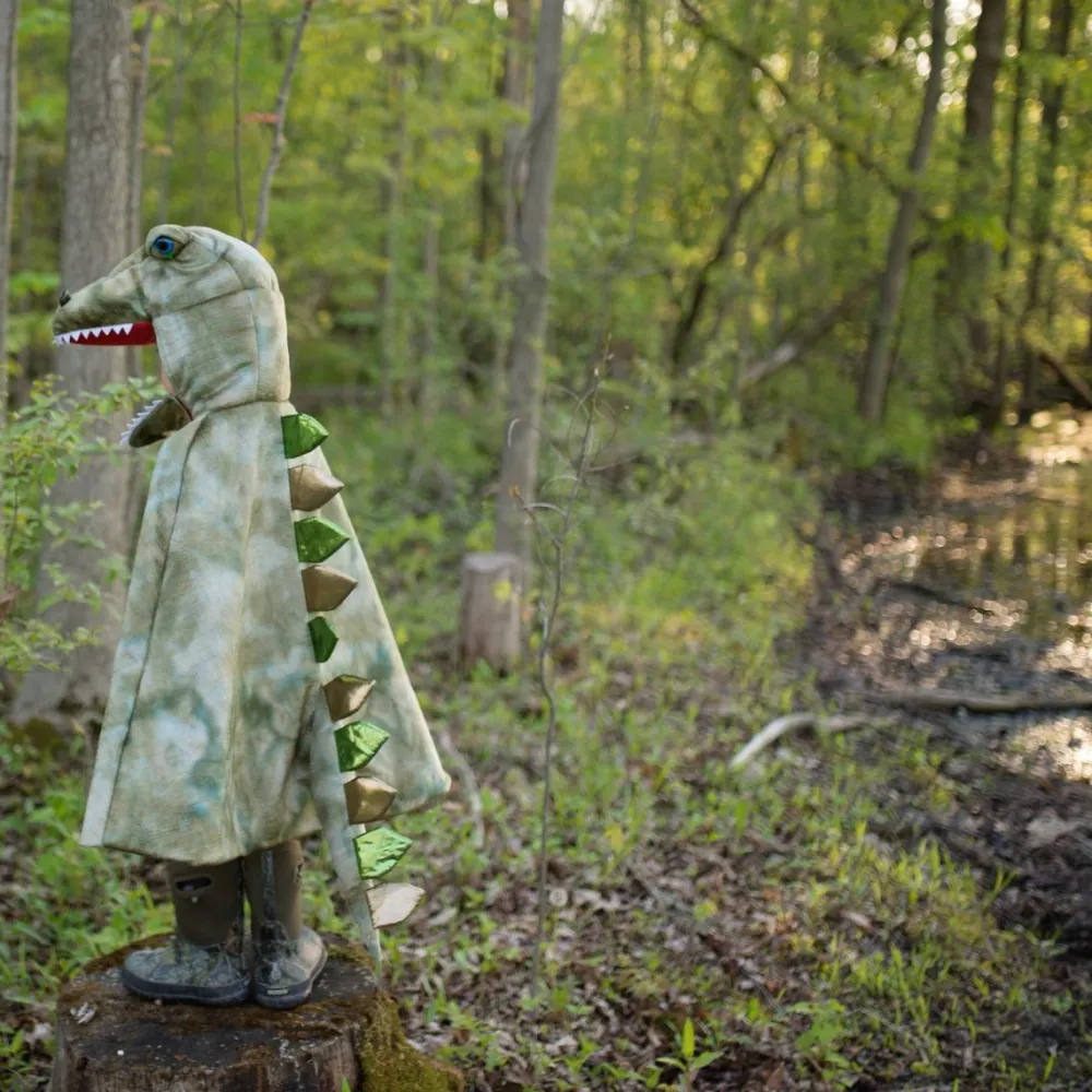 Fastelavn|Dinosaur Legetøj<Great Pretenders T-Rex kappe m. klør - Grøn, str. 4-6 år