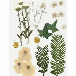 Påske|Kreativ Leg<Creativ Company Tørrede blomster/blade - Råhvid, 19 ass.