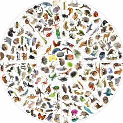 Spil<educa Vildkatten - Animals